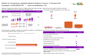 Relatório de transparência e igualdade salarial de mulheres e homens – 2º semestre 2024 empregador : 03.565.095/0001-89