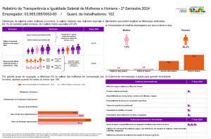 Relatório de transparência e igualdade salarial de mulheres e homens – 2º semestre 2024 empregador : 03.565.095/0002-60